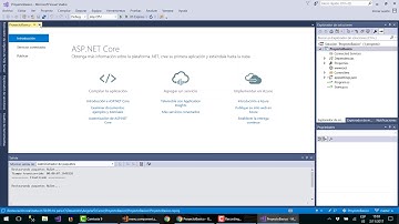 10. Proyecto de Angular 5 con Backend en Sql server y Asp.Net Core con c#