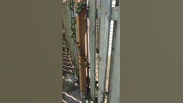 Fix 4 Broken Fence Posts the easy way.(4)