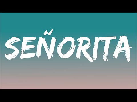 Shawn Mendes, Camila Cabello - Señorita (Lyrics)