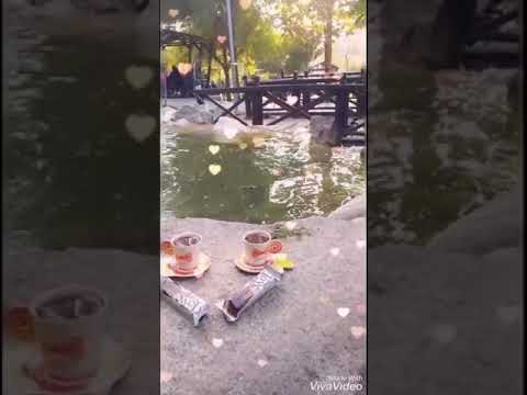 مدللتي وقصبتي روحي وعمري ودنيتي