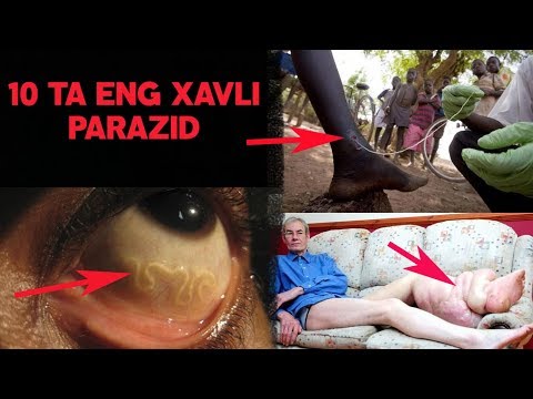 Video: Pawpaw zararkunandalarini davolash: keng tarqalgan panja zararkunandalari bilan qanday kurashish mumkin