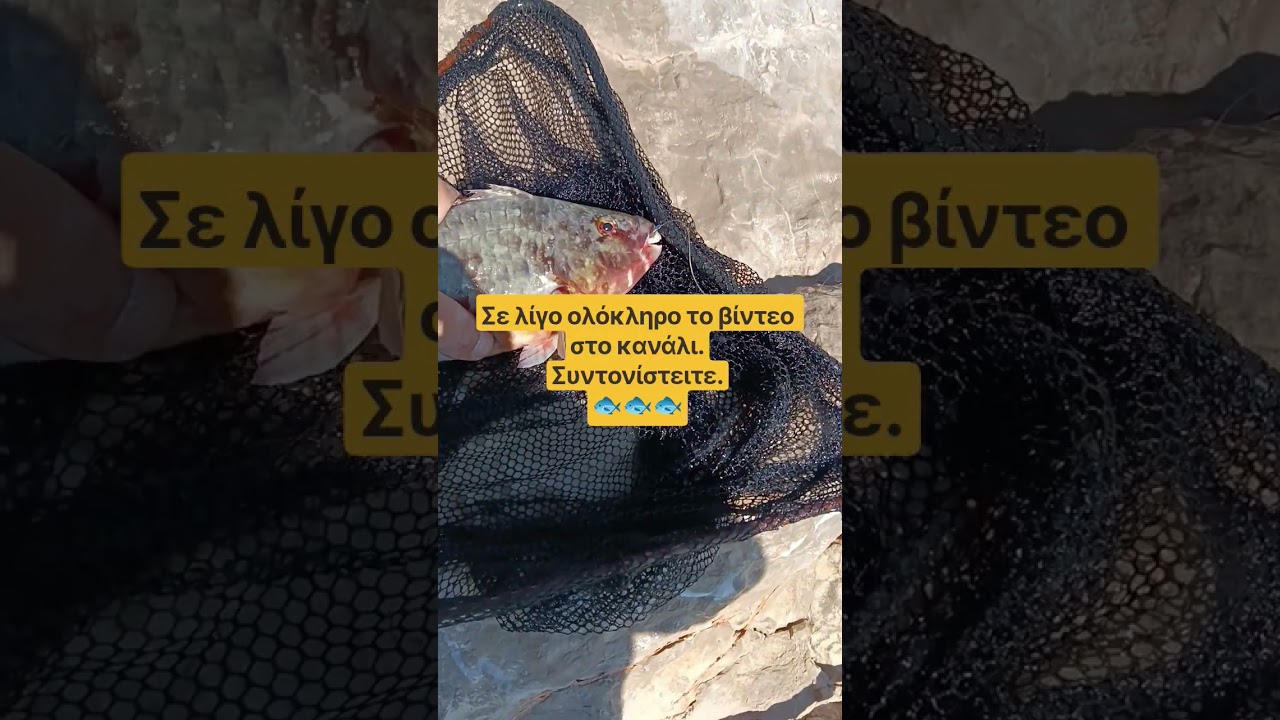 Ψάρεμα στα Μέγαρα.#ψάρεμα #casting #fishing