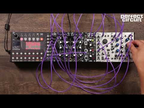 Make Noise QMMG (Quad Multi Mode Gate) Eurorack Four Channel LPG VCA VCF