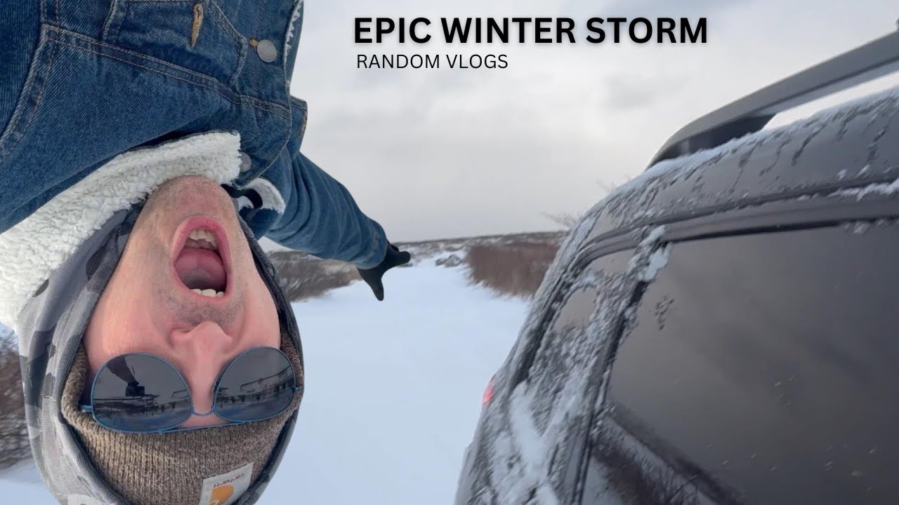 The Day After Epic Winter Storm - YouTube