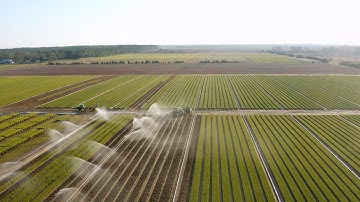 Tour Stop 1: Welcome to the Rayonier Seedling Nursery