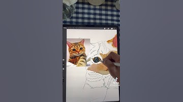 Cat painting #art #cats #youtubeshorts #aiart #procreate