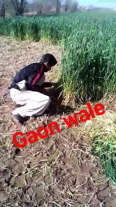 kaslian ka manzar #punjabi