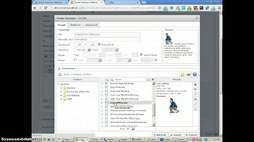 Upload Image to Server and Insert in Joomla Article