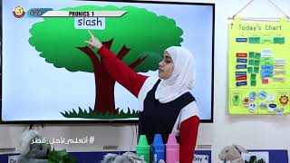 Grade 2   English   Phonics  1 Module10   Week5