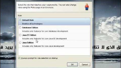 2 1  Introduction   JDBC   Java   JSP   Oracle   MySQL   Oracle JDeveloper   JSF