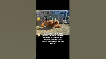#deadbeat #childcustody #toxicfamily #custodydisputes #parentalalienation #postseparationabuse