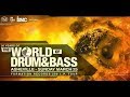 Capture de la vidéo 20 Years Of The The World Of Drum & Bass @ Timo's House In Asheville, Nc 3-25-2018