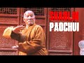 SHAOLIN CANNON FIST 少林炮拳 TUTORIAL (PART 4)