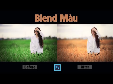 Hướng Dẫn Blend Màu Mùa Thu Trong Photoshop | Tự Học Photoshop