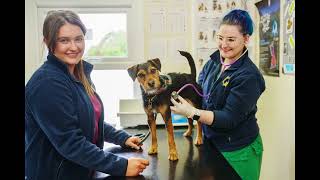 Manchester Vet centre Recruitment