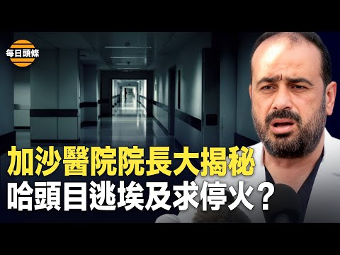 加沙最大医院院长供词直接打脸联合国组织等挺哈群体和媒体等，红海危机威胁全球经济，欧洲多国44艘战舰准备打击胡赛【每日头条】