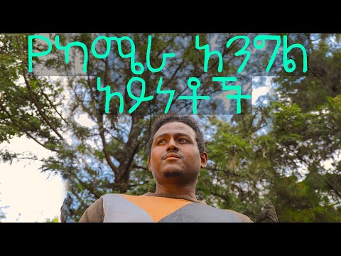 ቪዲዮ: ለሙያዊ ፎቶግራፍ ማንሳት በጣም ጥሩው ካሜራ የትኛው ነው?