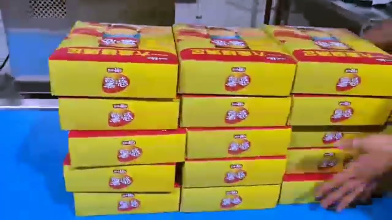 Fully automatic bags cartoning equipment linear type cartoner