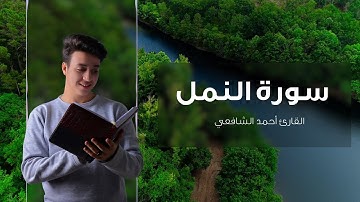 Surah Al Naml - Ahmed Alshafey | سورة النمل - أحمد الشافعي