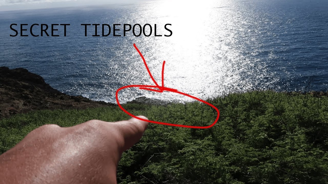 Secret Tide Pools In Hawaii w/ Girlfriend (Vlog)
