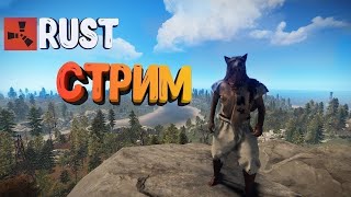 Стрим RUST / Глазами НОВИЧКА В Rust ‍💀