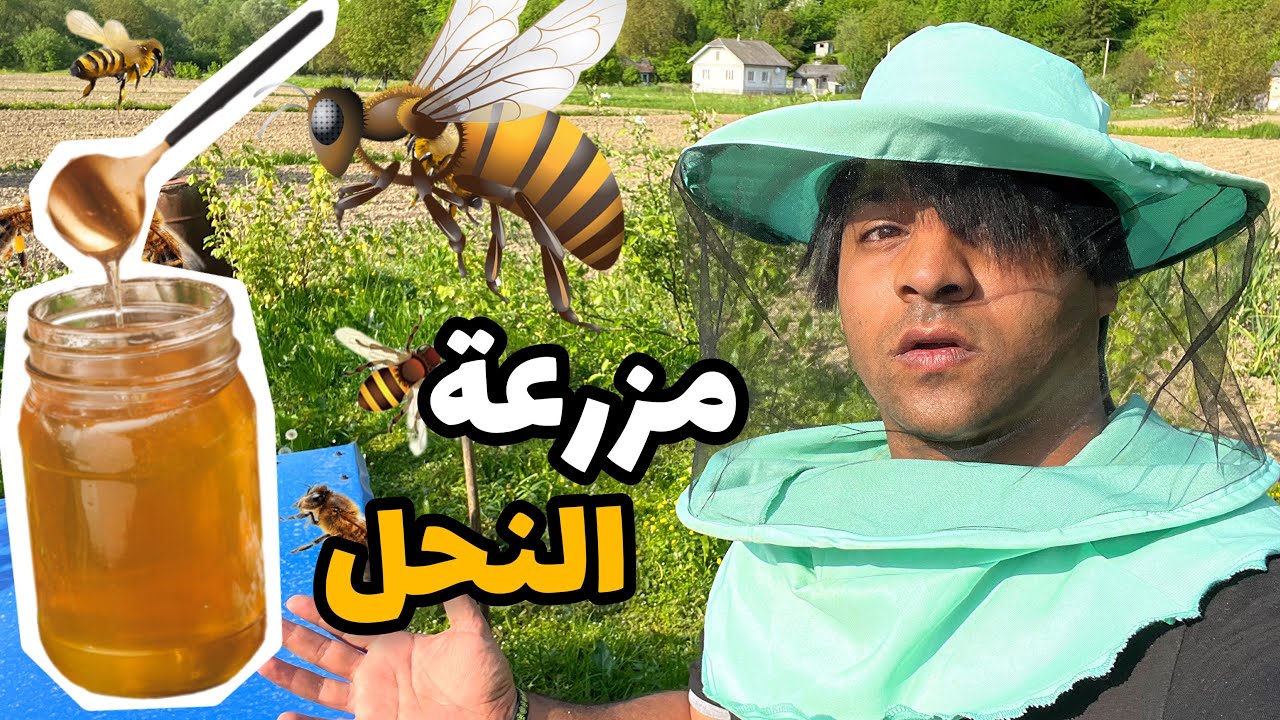 مزرعة النحل و العسل الطبيعي  🐝 _ نظف بيتي بالقرية  _ الريف الاوكراني 🇺🇦 | مصطفى ستار