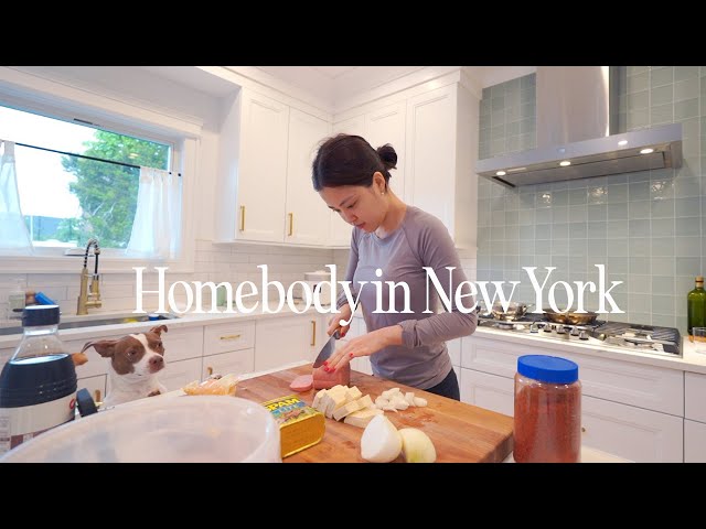 Homebody in New York | My casual daily life adjusting in new home with puppy, work trip to Korea! class=