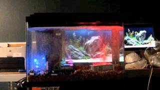 Fish Tank Computer.m4v