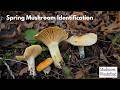 Spring Mushroom Identification 2026- A Walk in the Woods