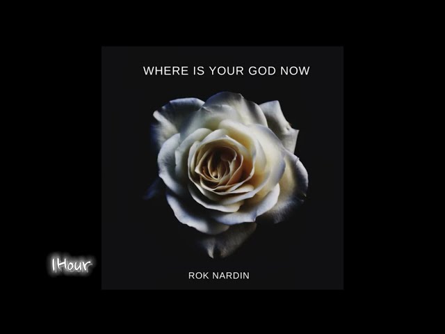 Rok Nardin - Where is your god now [1Hour] class=