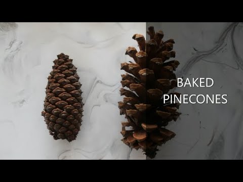 Video: Paano Gumawa Ng Hindi Pangkaraniwang Pine Cone Jam