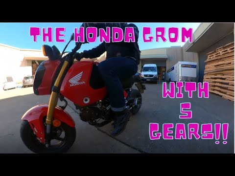 honda grom test