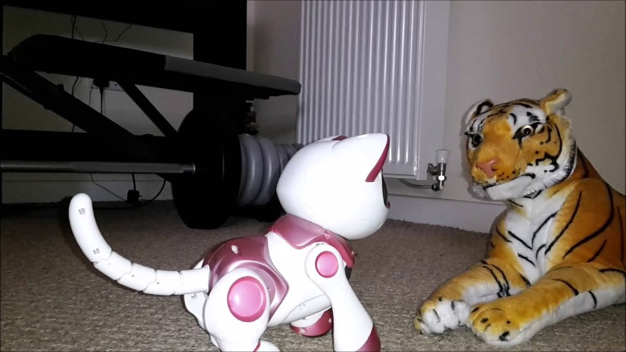 teksta robotic kitty