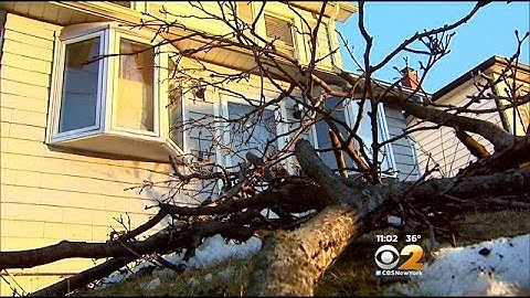 Strong Winds Take Down Trees, Power Lines