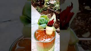 Namesaffron Punch