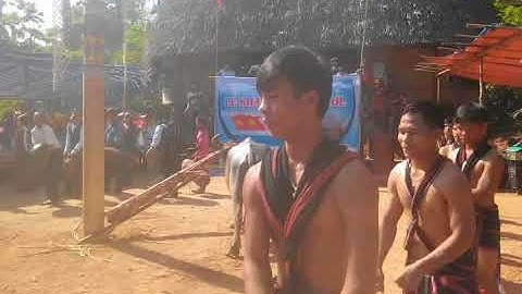 lễ Mừng Gươl mới..