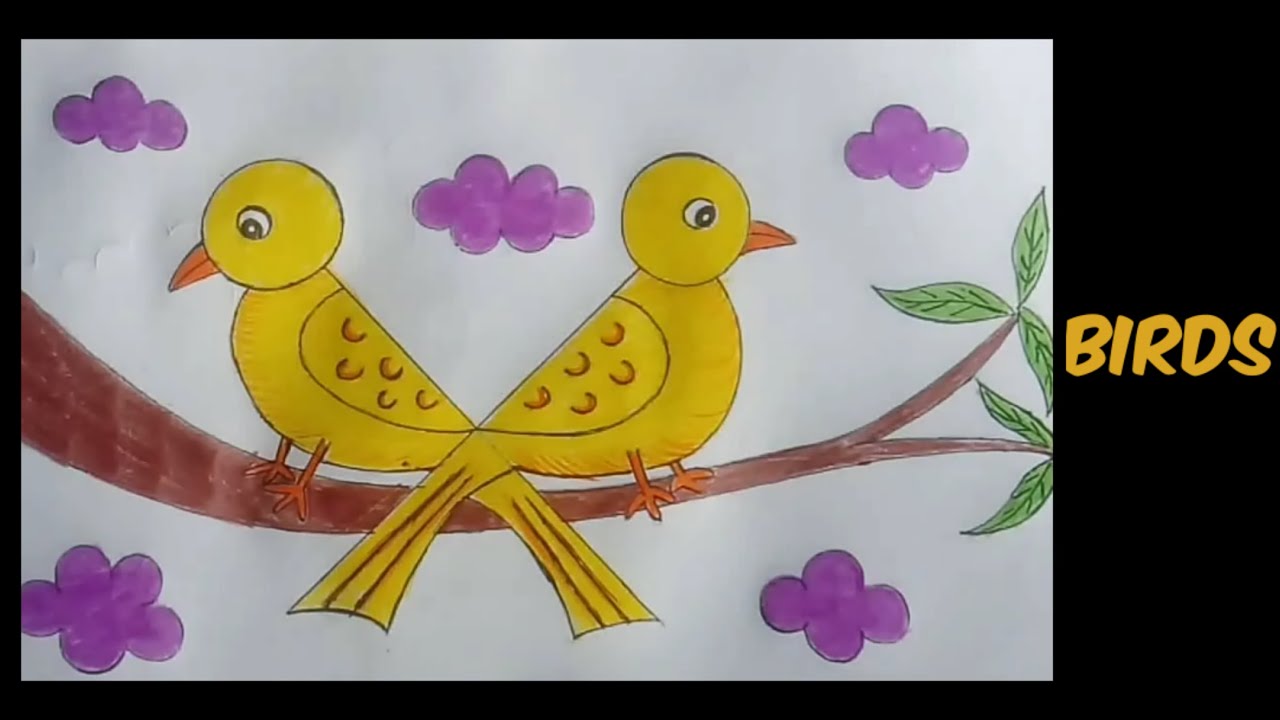 Birds Class 4 YouTube