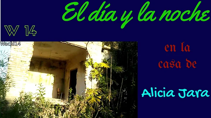 day and night in the house of Alicia Jara