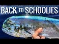 Back to School 2017 | Danco Sports Trip