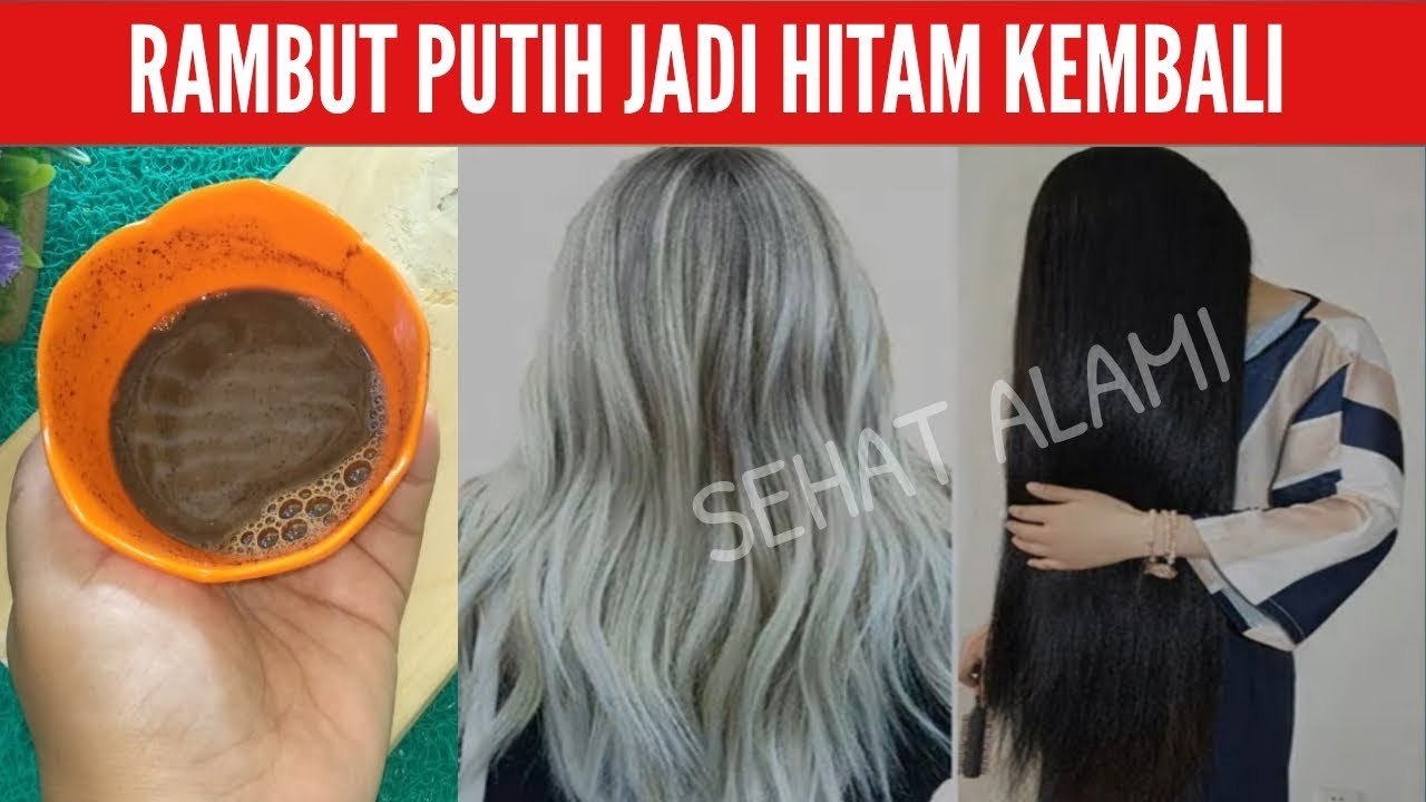 Tanpa di Semir  Rambut  Uban Jadi Hitam Kembali Dengan Cara 