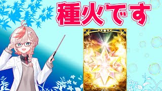 【#FGO】水着より種火でした【カルデア･Ｕ－サマーアイランド 水着2025】【FGOの質問あれば答えます】
