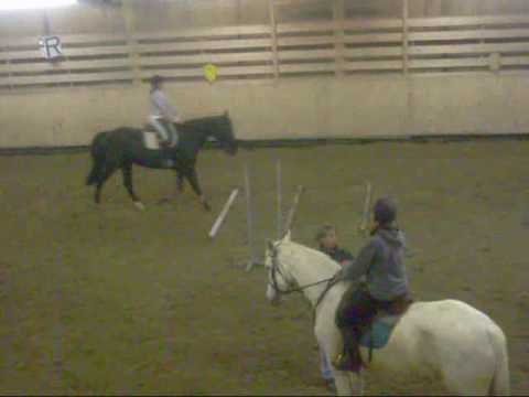 Barres Au Sol Cheval Youtube