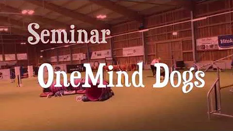 Jiga & Sarah .:. OneMind Dogs Seminar .:. Anna Eif...