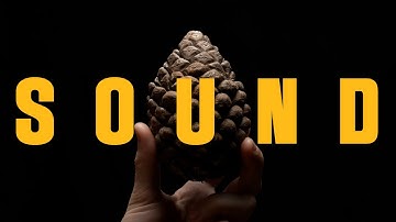 The Power of Sound in Movies