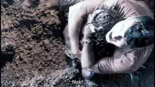 pee mak movie emotional clip true love never be die