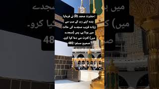 Deen Motivation,daily imaan boost #ahadees #deensayings #deenibaatien #unfrezzmyaccount #deenivoice