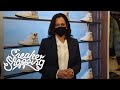 VP Kamala Harris Goes Sneaker Shopping With Complex