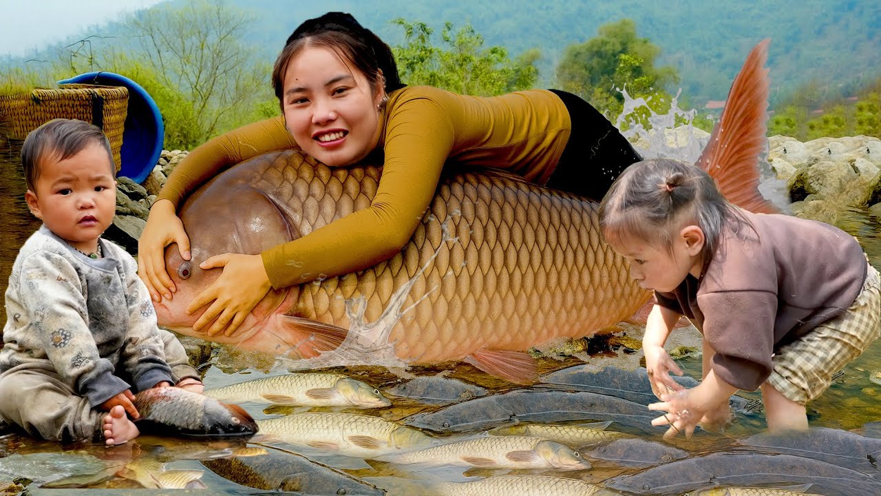 Unreal Catch! Giant River Fish to Sell at the Market & Cook Porridge for My Daughter