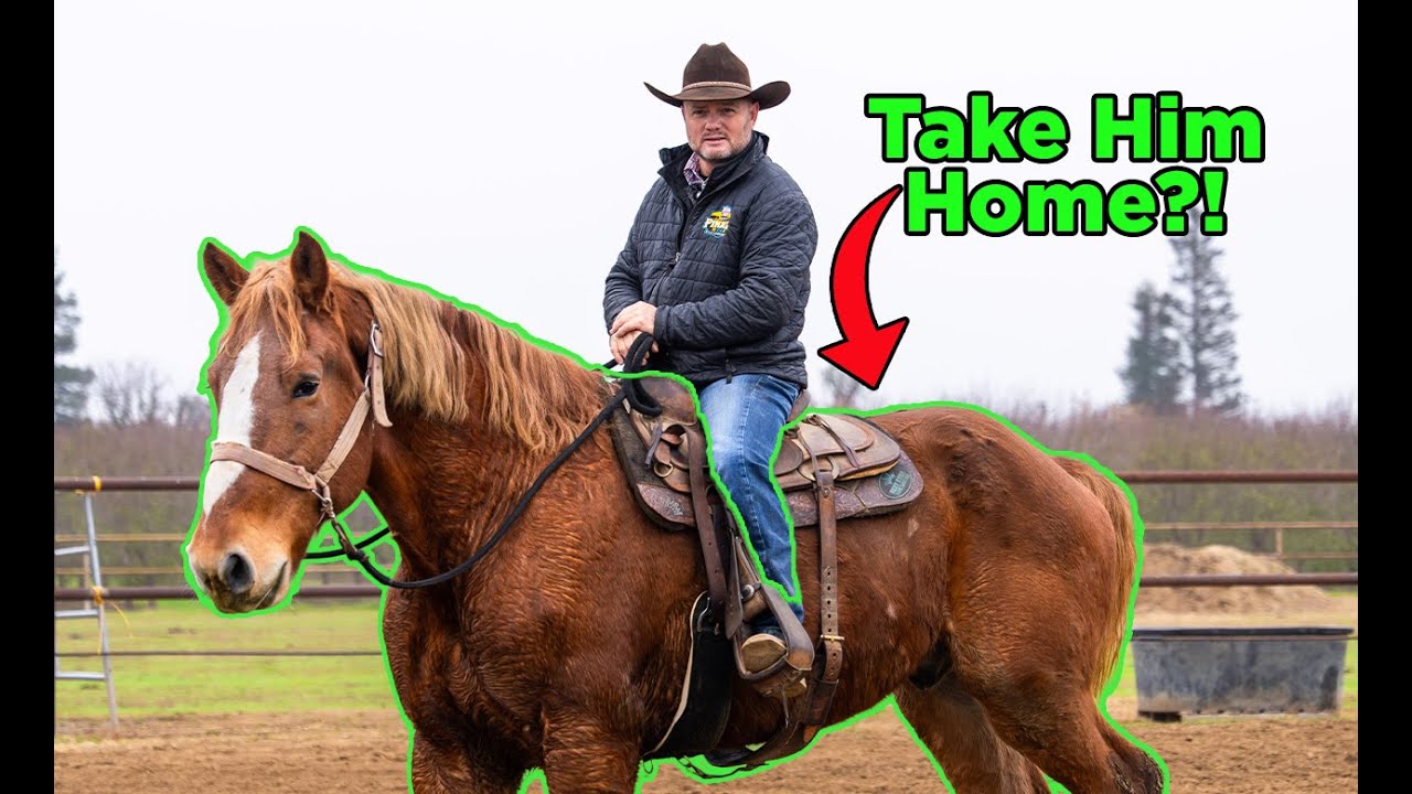 Мы его спасли, вы тоже можете помочь! | Эпизод 82