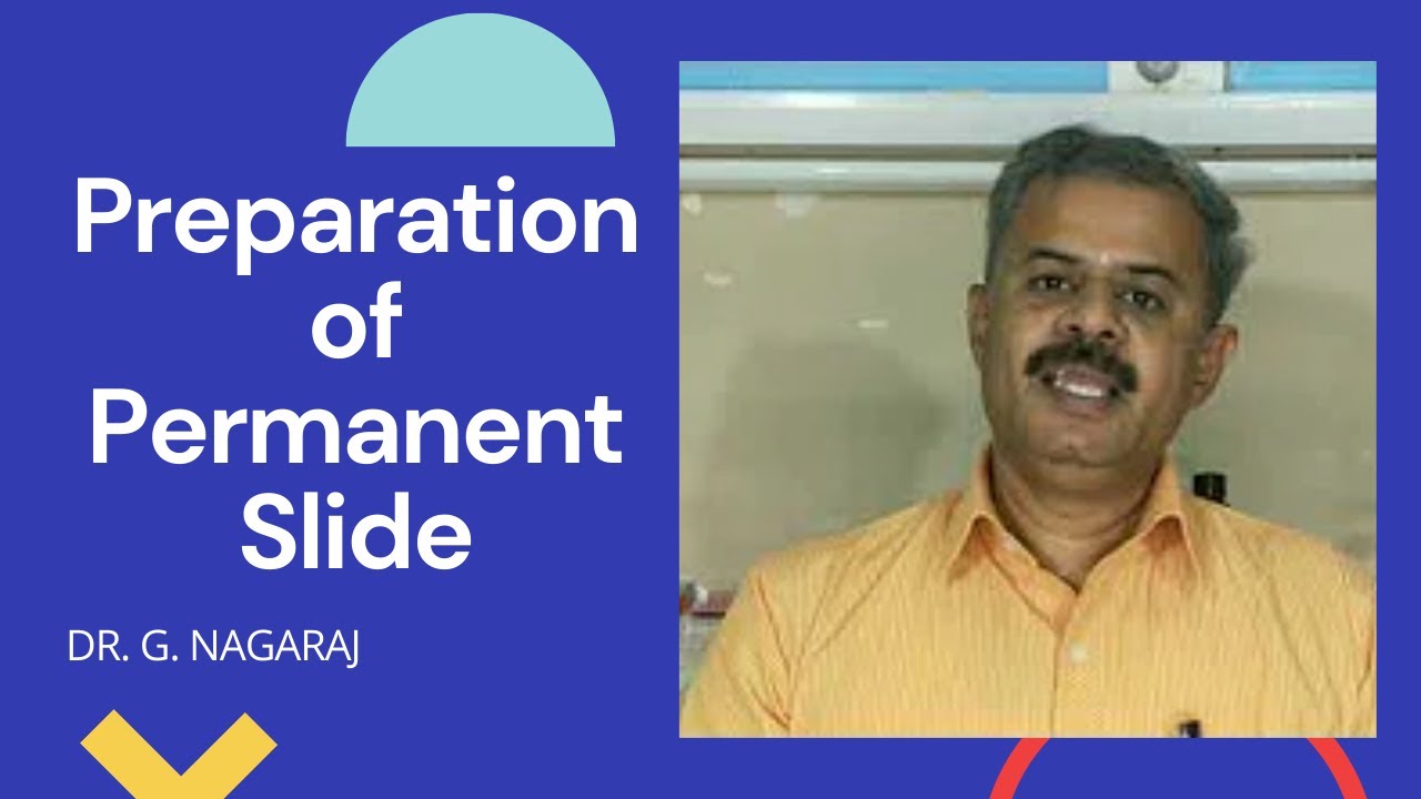 Preparation of permanent slide YouTube